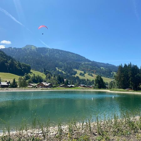 Chaleureux Appartement Renove Ambiance Chalet Praz-sur-Arly Ngoại thất bức ảnh