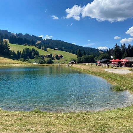 Chaleureux Appartement Renove Ambiance Chalet Praz-sur-Arly Ngoại thất bức ảnh