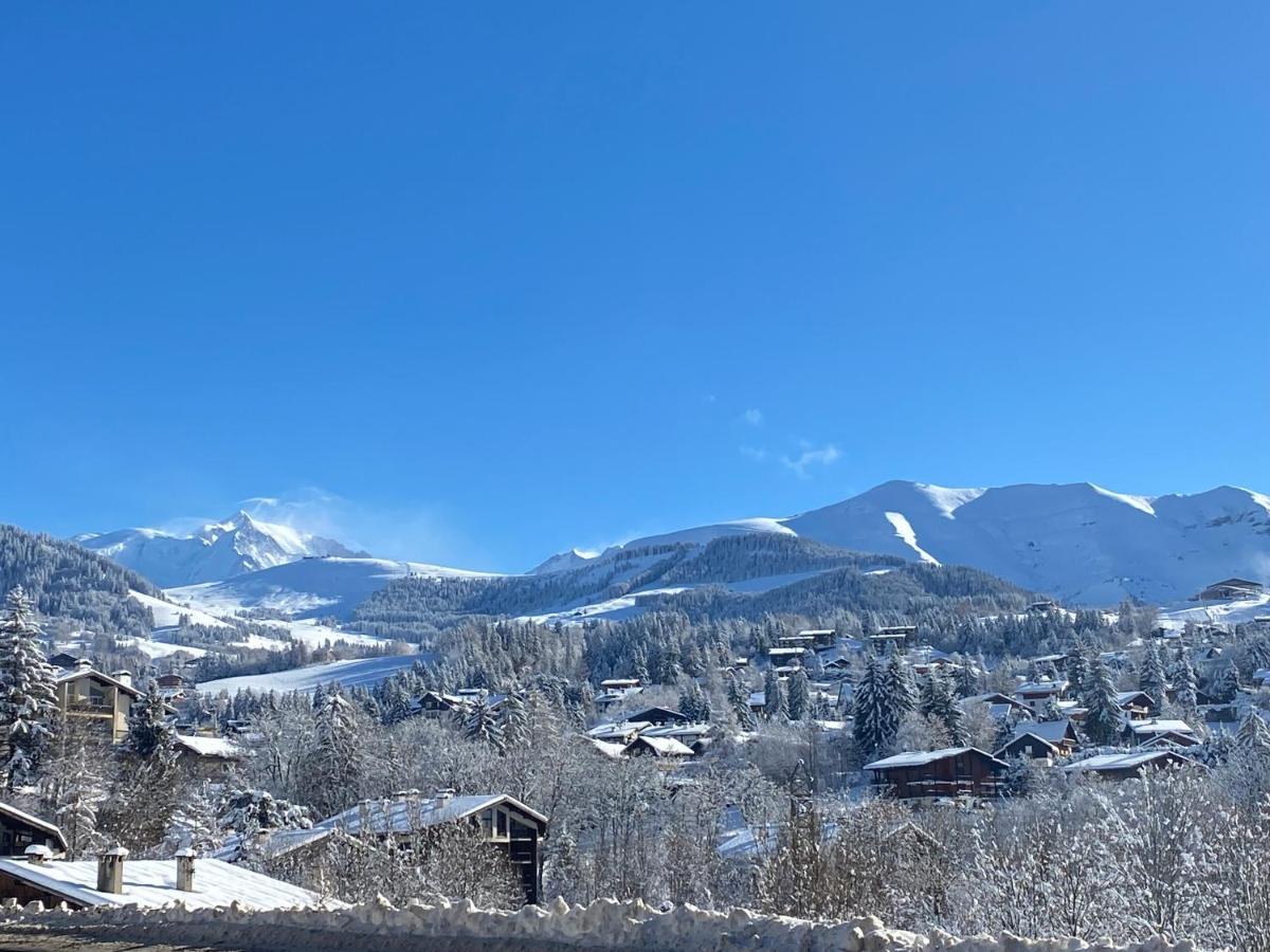 Chaleureux Appartement Renove Ambiance Chalet Praz-sur-Arly Ngoại thất bức ảnh