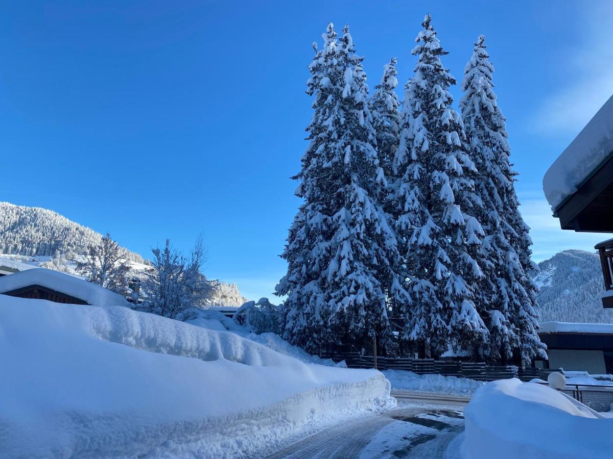 Chaleureux Appartement Renove Ambiance Chalet Praz-sur-Arly Ngoại thất bức ảnh