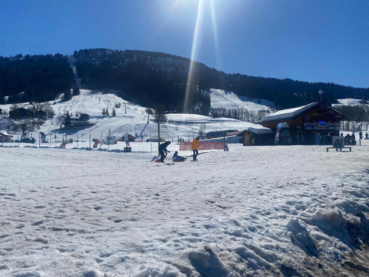 Chaleureux Appartement Renove Ambiance Chalet Praz-sur-Arly Ngoại thất bức ảnh