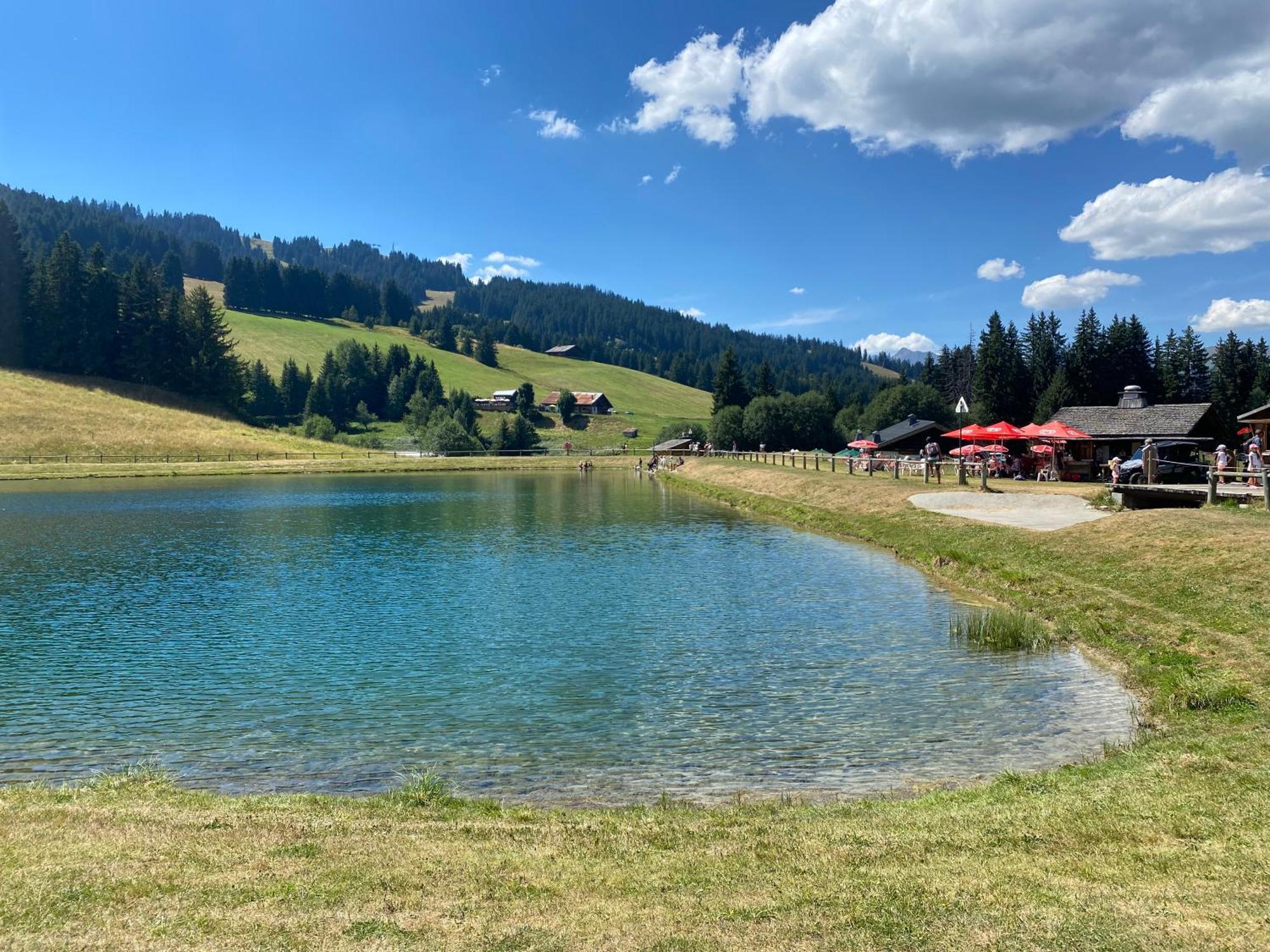 Chaleureux Appartement Renove Ambiance Chalet Praz-sur-Arly Ngoại thất bức ảnh